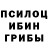 Галлюциногенные грибы Cubensis Townsend