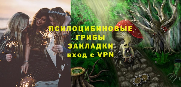 шишки Алексин