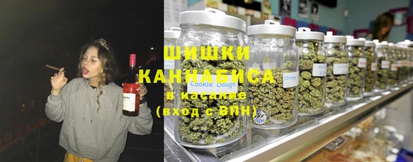 apvp Алзамай