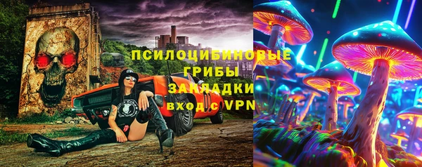 шишки Алексин