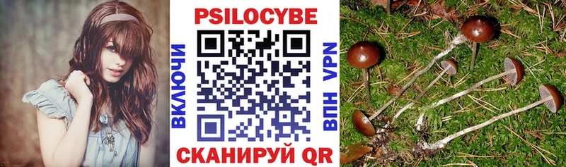 Псилоцибиновые грибы мицелий  нарко площадка наркотические препараты  Фролово 