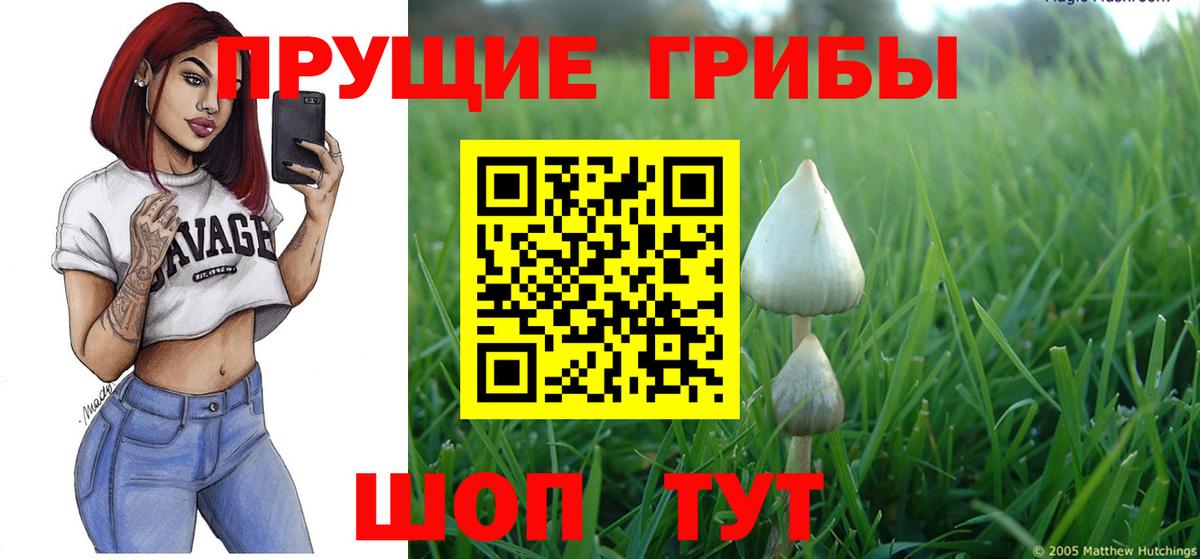 Псилоцибиновые грибы Cubensis  Вход с VPN  Фролово  Псилоцибиновые грибы Psilocybine cubensis 