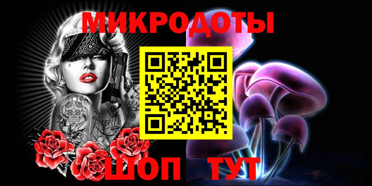 Галлюциногенные грибы Psilocybe Фролово